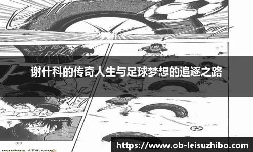 雷速体育